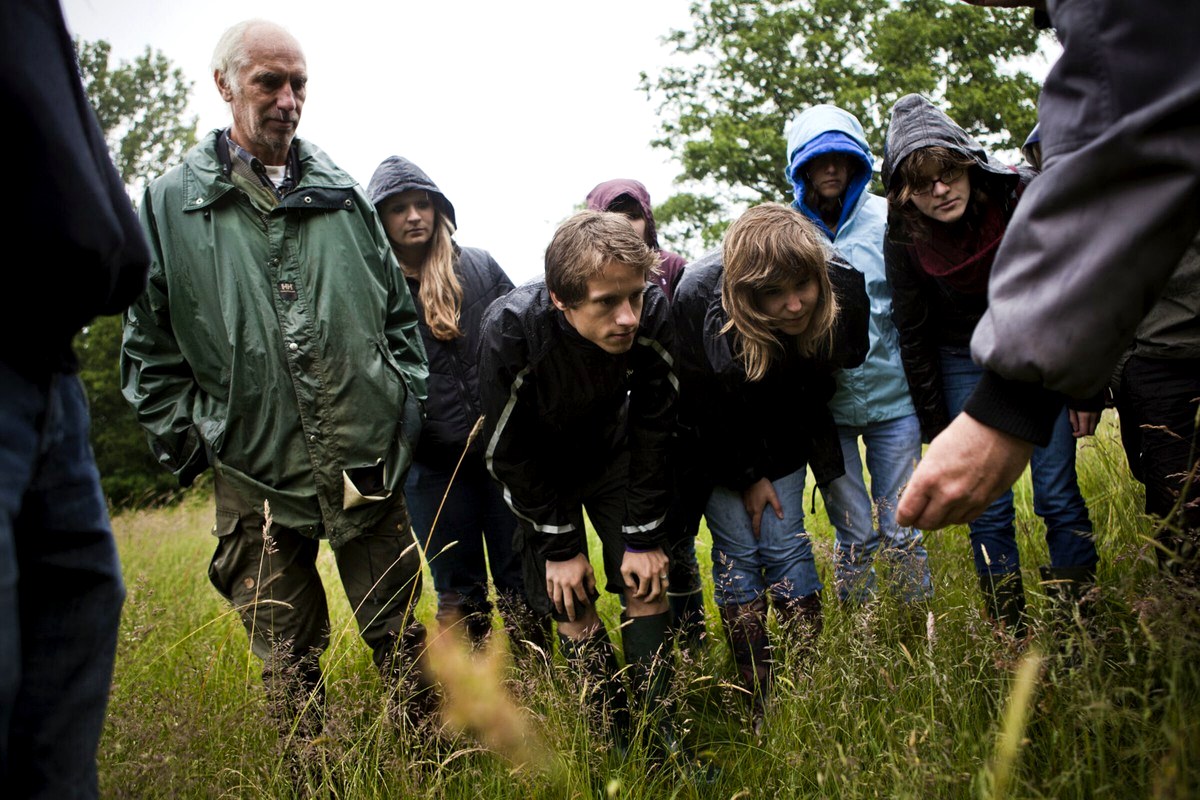 A small group gathered outdoors, looking closely at plants and the ground during a field activity.