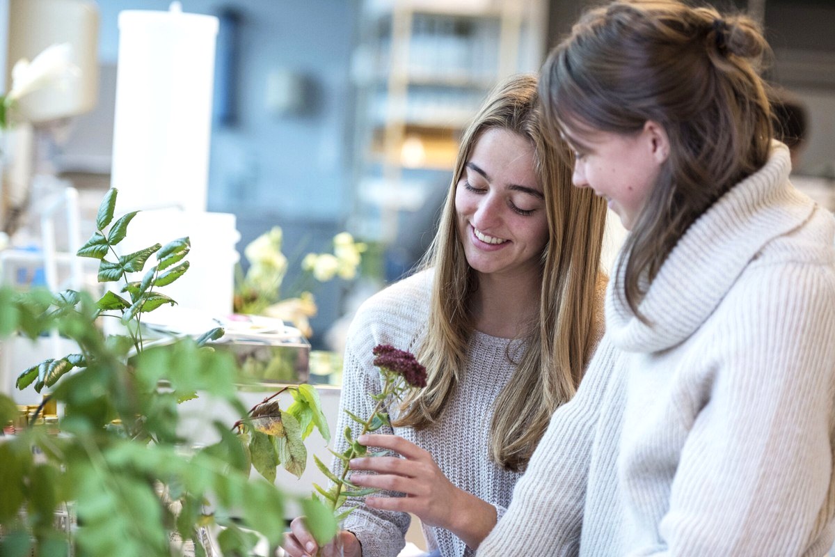 Two people examining a small leafy plant together beside a bright window.