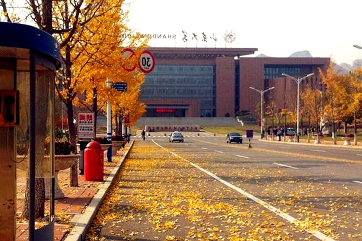 A tree-lined city street in autumn light, with fallen leaves and buildings in the distance.